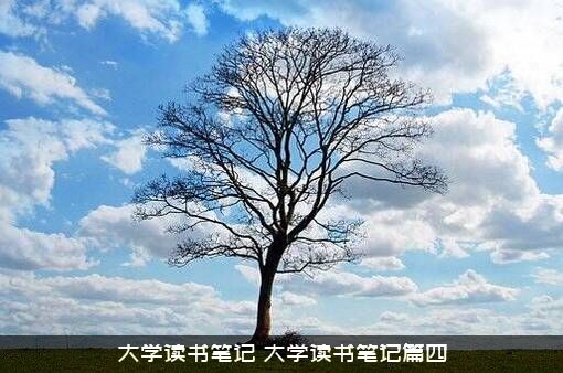 大学读书笔记（大学读书笔记篇四）