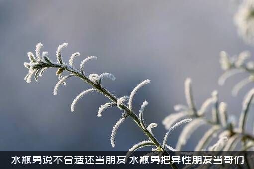 水瓶男说不合适还当朋友（水瓶男把异性朋友当哥们）