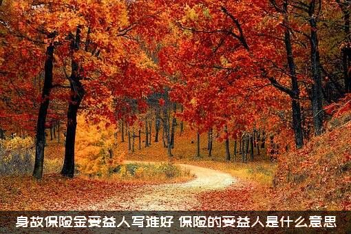 身故保险金受益人写谁好？保险的受益人是什么意思？