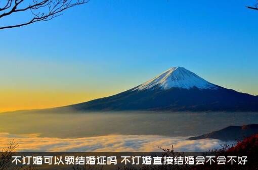 不订婚可以领结婚证吗（不订婚直接结婚会不会不好）