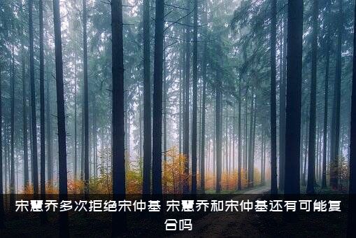 宋慧乔多次拒绝宋仲基（宋慧乔和宋仲基还有可能复合吗）