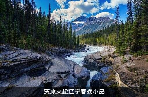 贾冰文松辽宁春晚小品