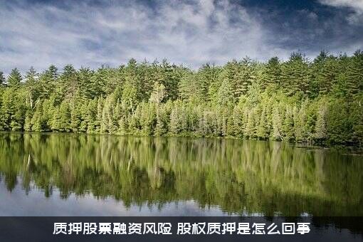 质押股票融资风险（股权质押是怎么回事）