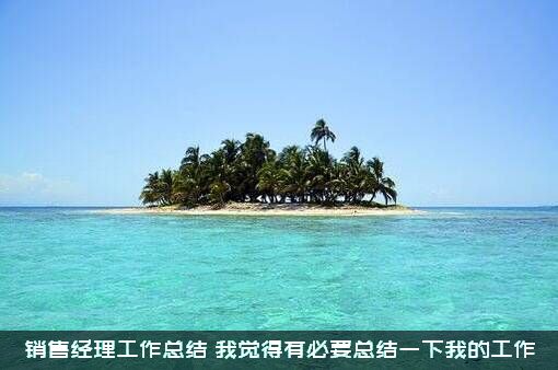 销售经理工作总结（我觉得有必要总结一下我的工作）