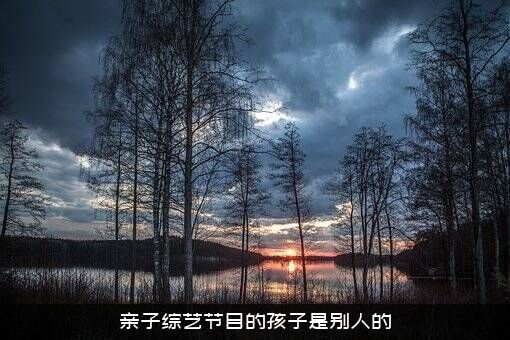 亲子综艺节目的孩子是别人的