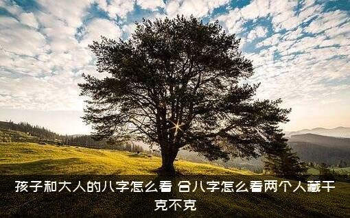 孩子和大人的八字怎么看（合八字怎么看两个人藏干克不克）