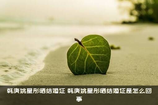 韩庚姚星彤晒结婚证（韩庚姚星彤晒结婚证是怎么回事）