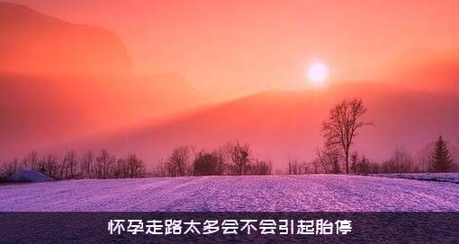 怀孕走路太多会不会引起胎停