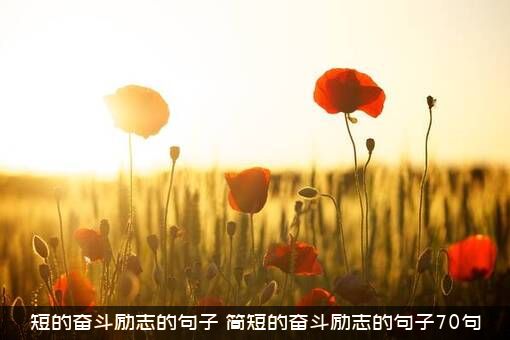 短的奋斗励志的句子（简短的奋斗励志的句子70句）