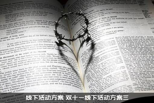 线下活动方案（双十一线下活动方案三）
