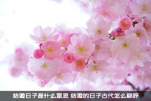 结婚日子是什么意思（结婚的日子古代怎么称呼）