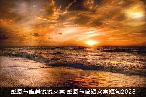 感恩节唯美说说文案（感恩节简短文案短句2023）