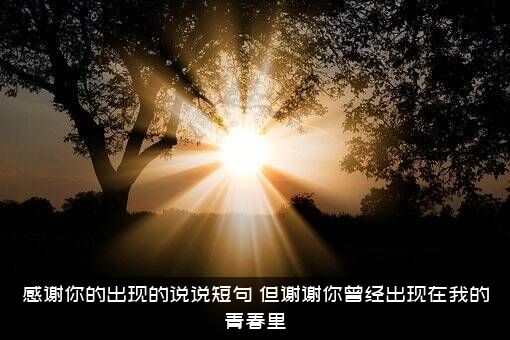 感谢你的出现的说说短句（但谢谢你曾经出现在我的青春里）