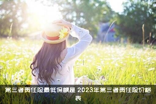 第三者责任险最低保额是（2023年第三者责任险价格表）