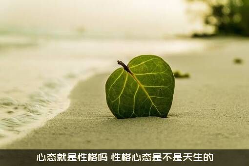 心态就是性格吗（性格心态是不是天生的）