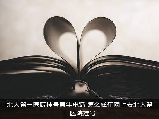 北大第一医院挂号黄牛电话（怎么样在网上去北大第一医院挂号）