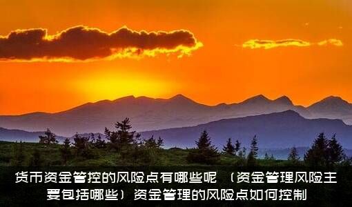 货币资金管控的风险点有哪些呢（〔资金管理风险主要包括哪些〕资金管理的风险点如何控制）