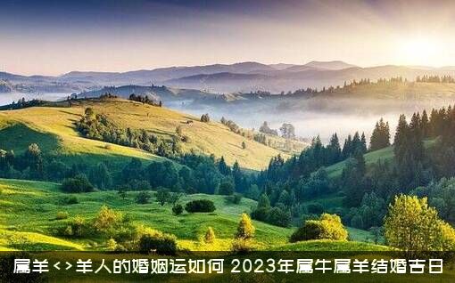 属羊<>羊人的婚姻运如何（2023年属牛属羊结婚吉日）