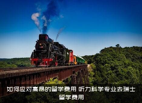 如何应对高昂的留学费用（听力科学专业去瑞士留学费用）