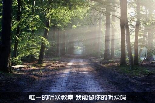 唯一的听众教案（我能做你的听众吗）