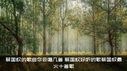 蔡国权的歌曲你会唱几首（蔡国权好听的歌蔡国权最火十首歌）