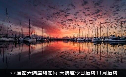 <>属蛇天蝎座势如何（天蝎座今日运势11月运势）