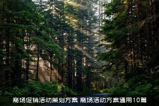 商场促销活动策划方案（商场活动方案通用10篇）