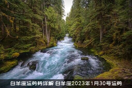 白羊座运势势详解（白羊座2023年1月30号运势）