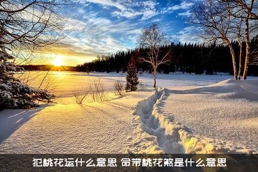 犯桃花运什么意思（命带桃花煞是什么意思）