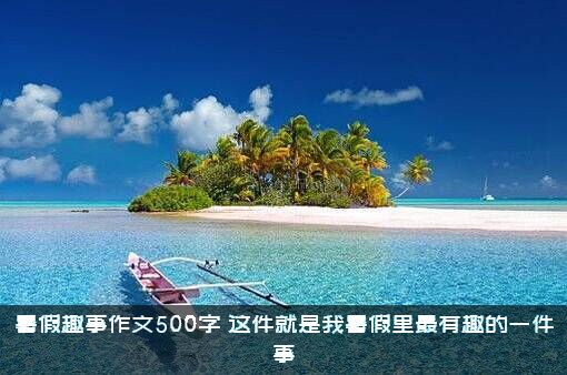 暑假趣事作文500字（这件就是我暑假里最有趣的一件事）