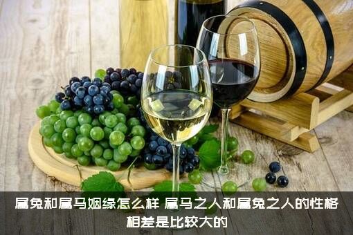 属兔和属马姻缘怎么样？属马之人和属兔之人的性格相差是比较大的？