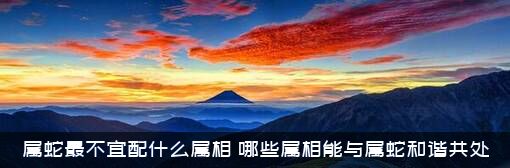 属蛇最不宜配什么属相？哪些属相能与属蛇和谐共处？