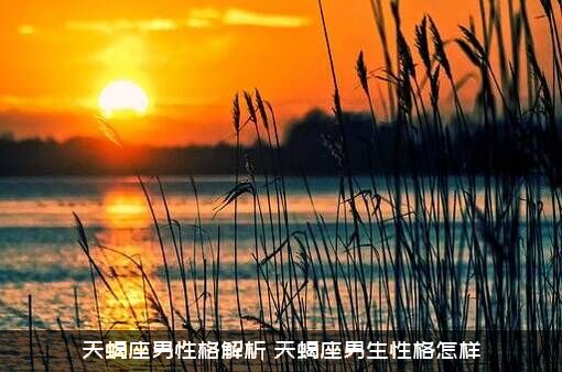 天蝎座男性格解析（天蝎座男生性格怎样）
