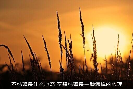不结婚是什么心态？不想结婚是一种怎样的心理？