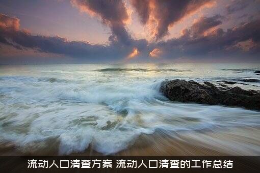 流动人口清查方案（流动人口清查的工作总结）