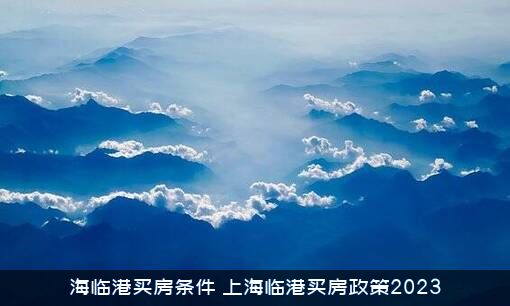 海临港买房条件（上海临港买房政策2023）