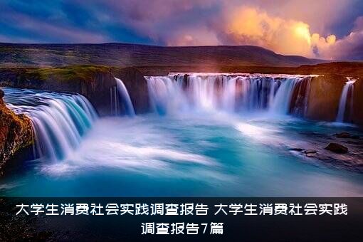 大学生消费社会实践调查报告（大学生消费社会实践调查报告7篇）