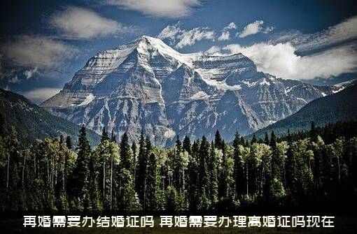 再婚需要办结婚证吗（再婚需要办理离婚证吗现在）