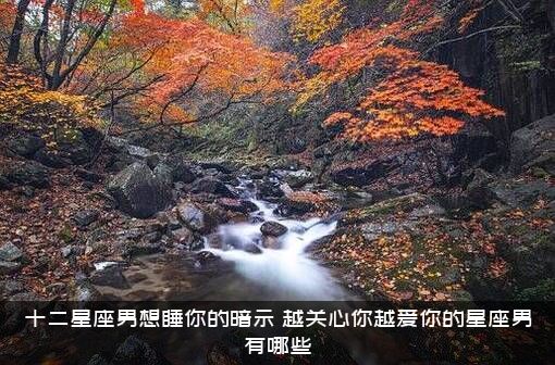 十二星座男想睡你的暗示（越关心你越爱你的星座男有哪些）
