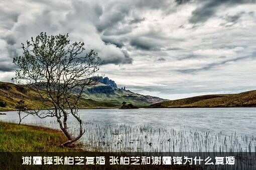 谢霆锋张柏芝复婚（张柏芝和谢霆锋为什么复婚）