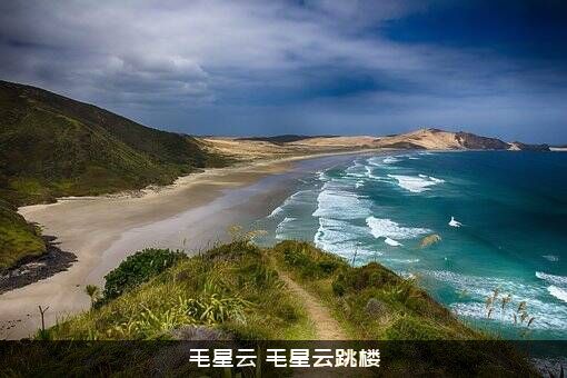 毛星云（毛星云跳楼）
