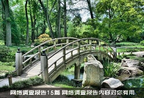 网络调查报告15篇（网络调查报告内容对你有用）