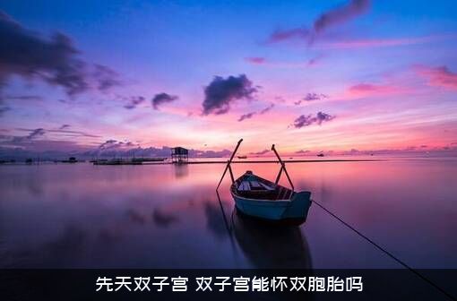 先天双子宫（双子宫能怀双胞胎吗）