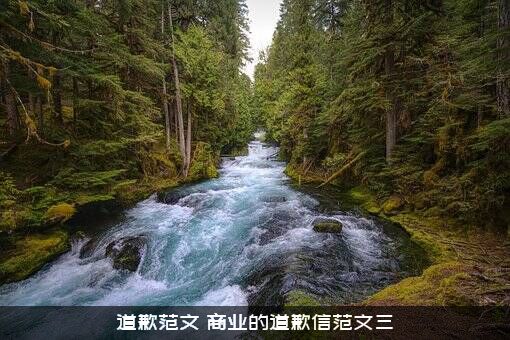 道歉范文（商业的道歉信范文三）