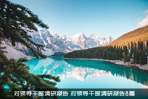 对领导干部调研报告（对领导干部调研报告8篇）
