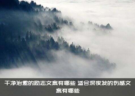 干净治愈的励志文案有哪些？适合深夜发的伤感文案有哪些？