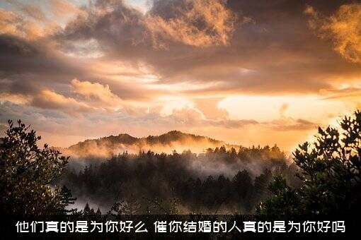 他们真的是为你好么（催你结婚的人真的是为你好吗）