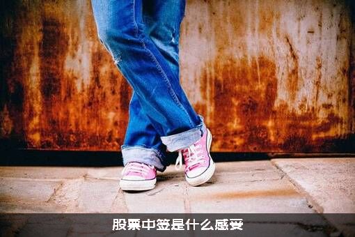 股票中签是什么感受