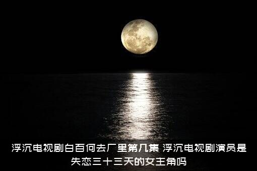 浮沉电视剧白百何去厂里第几集？浮沉电视剧演员是失恋三十三天的女主角吗？