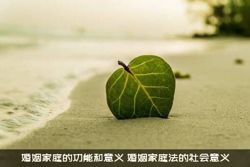 婚姻家庭的功能和意义（婚姻家庭法的社会意义）